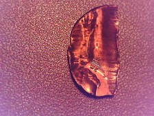 Mint Error - Lincoln Cent- No Date- Fragment/Scrap Metal Strike - Unc.