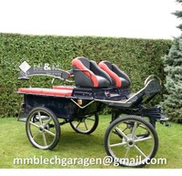 Kutsche Fahrschulwagen Marathonwagen Trainingswagen Wagonette