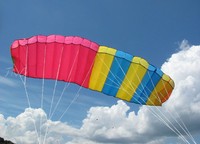 3M Lenkdrachen Lenkmatte Lenk-Drachen Kite | Einleiner | Spielzeug für draußen