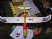 Elektrosegler Multiplex Easy Star II beschädigt aber flugfähig!!! 