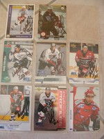 7 signierte Playercards Wally Schreiber, EV Landshut, Hannover Scorpions...