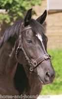 Barefoot Contour-Physio Kopfstück & Cavesson im Set - 3 Größen & 2 Farben - H&H