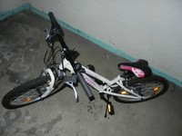 Kinder Fahrrad 20 Zoll