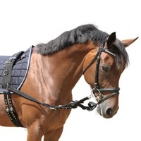 KERBL 1 Paar Ausbinder mit Gummiring ~ Ausbindezügel a. Polyamid ~ schwarz ~P-WB