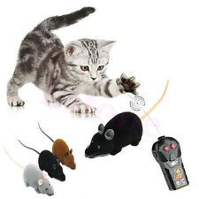 עכבר על שלט - צעצוע לחתול