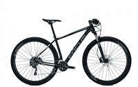Mountainbike Focus BLACK FOREST LITE 29 20G 29"