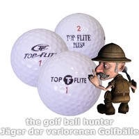 200 gebrauchte Top Flite Mix Golfbälle in AAA - AA Qualität Lakeballs TF-1