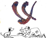 1kg Pferdeschwanz, wie Magen, PferdeKopfhaut , Sehnen, Schinkenknochen