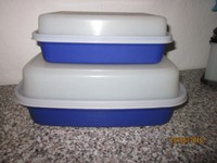 Tupperware kleiner & großer Grillmeister - Marinierbehälter - Aufbewahrungsbox