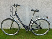 Raleigh unico plus Damen City Fahrrad 28 Zoll 7 Gang Nexus/Shimano Rücktritt