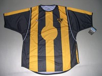 Trikot Alemania Aachen Home Orig Nike Gr. M L XL neu