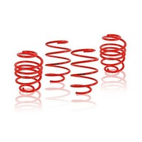 KAW FEDERN für Audi A6 Avant 4B 40/30 1010-9040-K2