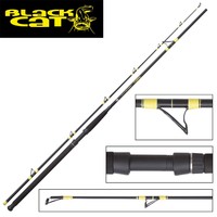 Black Cat Passion Pro Long Range 3,20m 500g Wallerrute zum Bojenangeln, Welsrute