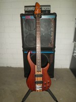 Peavey Elektrobass Passiv