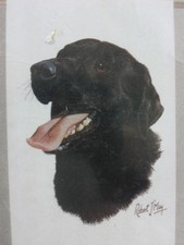 Black Labrador Dog Flag Evergreen House Banner Evergreen