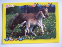 Pferde Postkarte - HAFLINGER Stute & Fohlen Nr 2 - Verlag Jessy Foto Juniors