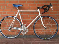 Pinarello Trevisio, Gr. 59