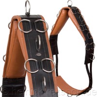 Heinick Qualitäts Leder Longiergurt 20 Ringe Warmblut Vollblut ~ Schwarz-Tan