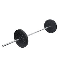 EVERLAST LANGHANTELSTANGE 170 cm LANGHANTEL HANTELSTANGE HANTEL HANTELN STANGE