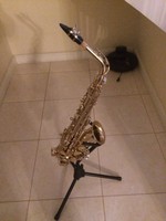 Saxophone Palatino