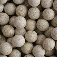 (3 EUR pro kg) 10kg Futterboilies Coco Banana 20mm  Karpfen Boilies