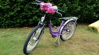 Kinderfahrrad 24 zoll