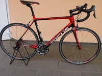 FOCUS CAYO Ultegra Modell 2014