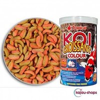 Tropical KOI CROISSANT COLOUR