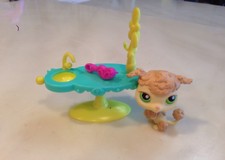 Littlest Pet Shop Lps 146 Cream Tan Green Eyes Poodle Puppy Dog Vanity Brush