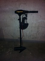 Minn Kota Endura C 2 30Lb Außenbordmotor/Elektromotor Defekt?