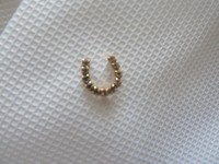 Reitjacket Turnierbluse Reitjacke Plastron Pin gold mit Swarovski Steinen NEU 