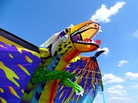 Einleiner: 3D-Drachen Drache 193cm new color