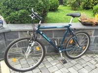 FAHRRAD MOUNTAINBIKE GIANT GSR500 MTB 26" RH54 ZOLL HARDTAIL TOP ZUSTAND PLAUEN