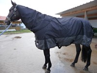 SONDERPREIS*1200 D. OUTDOORDECKE+Halsteil abnehmbar 150gr. 145 cm Schwarz-Grau