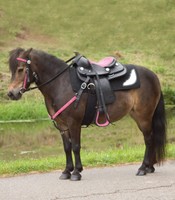 Komplett-Set Pony-Westernsattel THINK PINK + Zaum u Vorderzeug pink, Strass  NEU