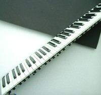 Tasten für Orgeln oder Keyboards  WERSI OAS