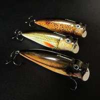 Wobbler Popper 3D 1.0 9,5 cm Topwater