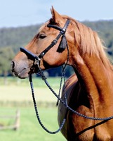 BAREFOOT AMBER  KOPFSTÜCK SIDEPULL  2-IN 1 & ENGLISCHZÜGEL  SET 3 FARBEN   4000C