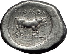 POSEIDONIA Paestum LUCANIA 470BC Ancient Silver Stater Greek Coin Bull i58465