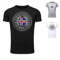 Legendary Items Herren T-Shirt EM Island Shirt 2016 Fussball