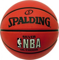 Spalding NBA Silver Outdoor (73-285Z)