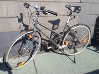 LUXUS Patria Roadster - 27 Gang Shimano LX - Bike