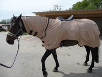 **FLIEGENAUSREITDECKE**BEIGE - NEU mit Halsteil 145 cm  Sehr stabiles Material