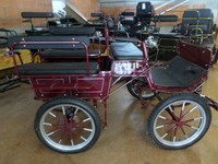 Freizeitkutsche-Wagonette-Shetty und Pony 