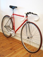 Vintage Pinarello Veneto Singlepssed Bike, 51cm, 9.1kg 