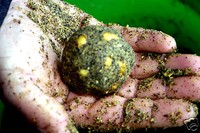 20 kg Lockfutter Karpfen-Brassen -Rotaugen Angelfutter  Wettkampffutter 1,05€/kg