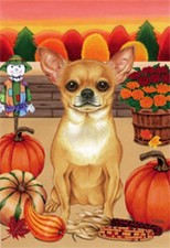 Garden Indoor/Outdoor Autumn Flag - Chihuahua (Tp) 670461