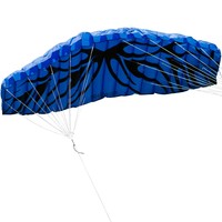 Kite Lenkdrachen Lenkmatte Drachen Dragonkites 200 x 70 cm RTF