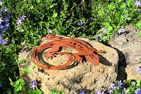 Eidechse Gecko zum Hängen und Legen Metall Rost NEU Gartendeko Gartenfigur