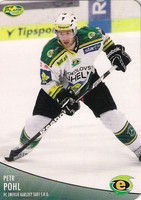 Petr Pohl, czech OFS Die-Cut 12-13, ERC Ingolstadt (DEL) Germany